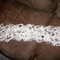 100_6983_grid