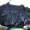 Picture_055_grid