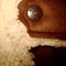 Dsc05244_grid