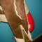 Dsc05127_grid