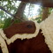 Dsc05186_grid