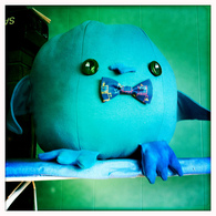 5083032625_2058e372b4_listing
