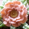 Rose_2__grid
