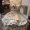 Dscn3906_grid
