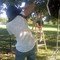 0912001715_grid