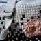 Tascheknubbel_2__grid