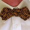 Bowtie2_grid