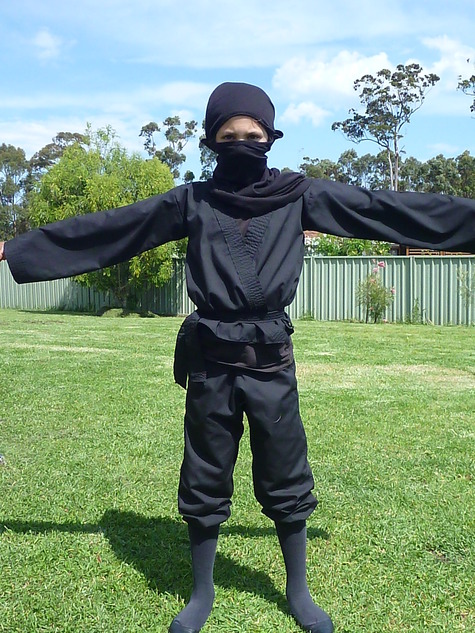 Ninja_large