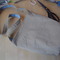 Dsc01529_grid