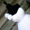 Wedding-dress-9_grid