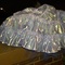 Crinoline_grid