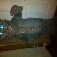 Img_20101104_003336_listing