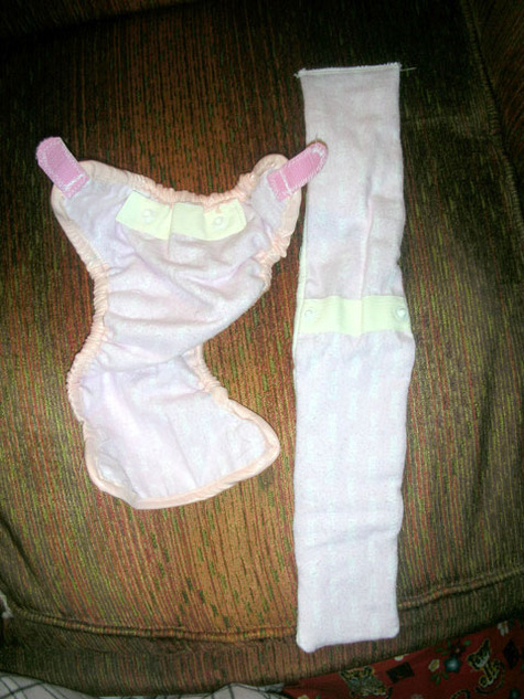 Diaper_inside_large