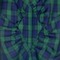 Cimg0186b_grid