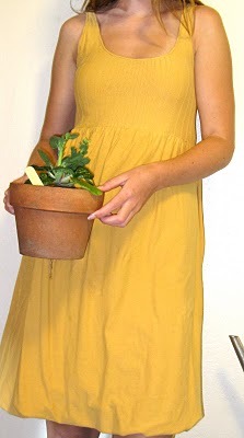 Img_2308_large