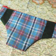 B_panty_listing