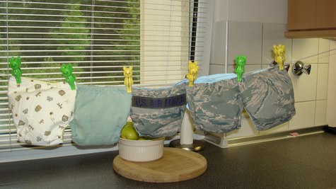 Diapers_for_landy__large