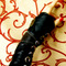 Steamglove3_grid