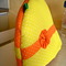 Dscn7025_grid