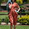 10_dsc_0722_grid
