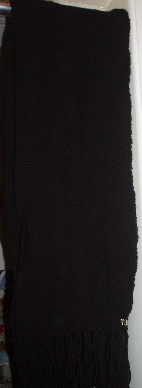 P1010764_large