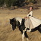 Kim_mtmargaret_grid
