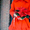 Dsc03349_grid