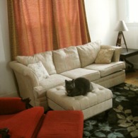 Diyclipringcurtains_livingroom_listing