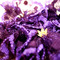 Purplenecklace4_grid