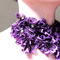 Purplenecklace2_grid