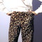 Leopard_7_grid