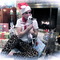 Leopard_xmas_grid