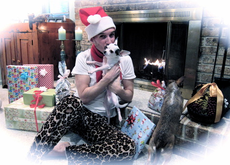 Leopard_xmas_large