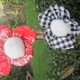 Img_3068_thumb