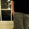 Sam_2896_grid