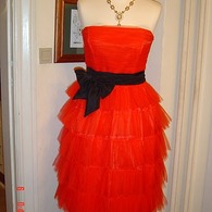 Tina_s_kjole_listing