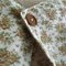 Button_close-up_grid