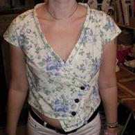 Blus_s_ndagsutflyckt_001_listing