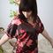 Dolman2_grid