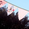 Dsc06105_grid