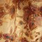 Dsc07669_grid