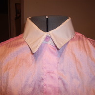 Collarandbutton_listing