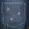 Snv10705_grid