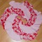 Cimg0649_grid