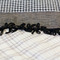 20110208-img_3956_grid