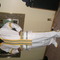 Paul_greenbay_packers2_grid
