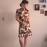 Theshirtdress_1__listing