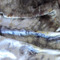 Jar_dye_fabric1_grid