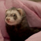 Photo_grid