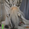 K_nig_winter_2__grid